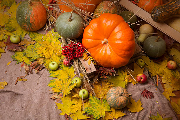 istock autumn background with pumpkin and apples 536685658
