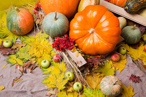 istock autumn background with pumpkin and apples 536685814
