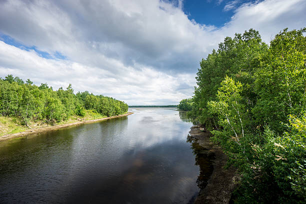 istock Kouchibouguac National Park 536687868