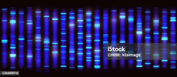 Sanger Sequencing Background Stock Photo - Download Image Now - DNA Sequencing Gel, Genetic Research, Messenger RNA
