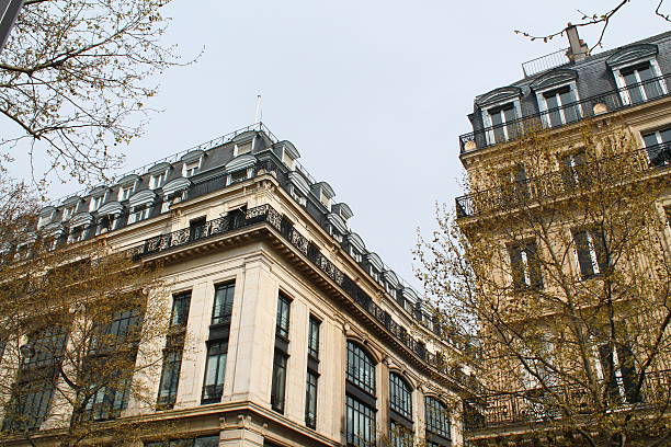 istock Parisian buildings, France 536689396