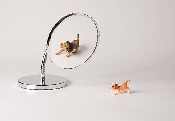 istock self-confidence front of the mirror - puppy 536715822