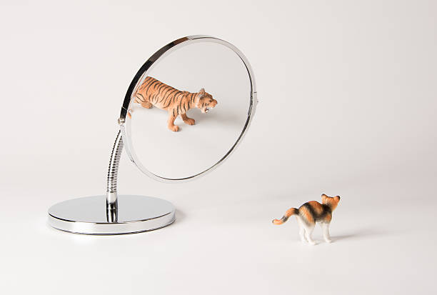 istock self-confidence front of the mirror - cat 536716846