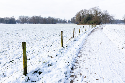 Winter landscape with snow and pathway between pastures along poles. Meadows covered with layer of frozen snow in free nature. Symbol of frost, winter season, weather and precipitation.