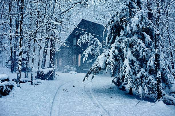 Poconos house in winter storm A rare Thanksgiving snowstorm in the Poconos mountians the poconos stock pictures, royalty-free photos & images