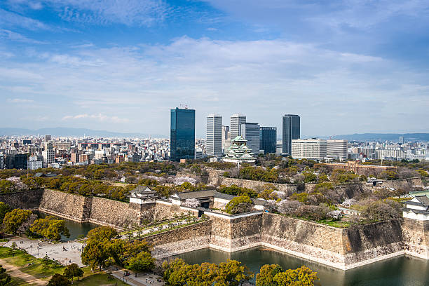 istock Osaka, Japan City Skyline 536722749