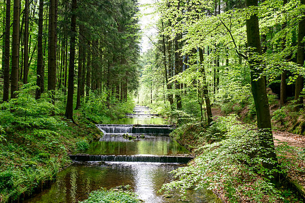 istock Water stream cascade falls near old gold mine. 536725154