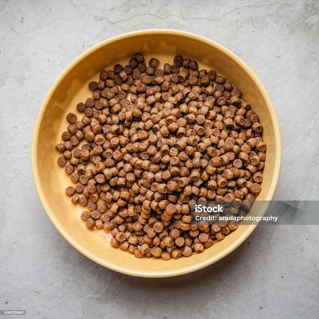 Dried dog food 2015 Stock Photo