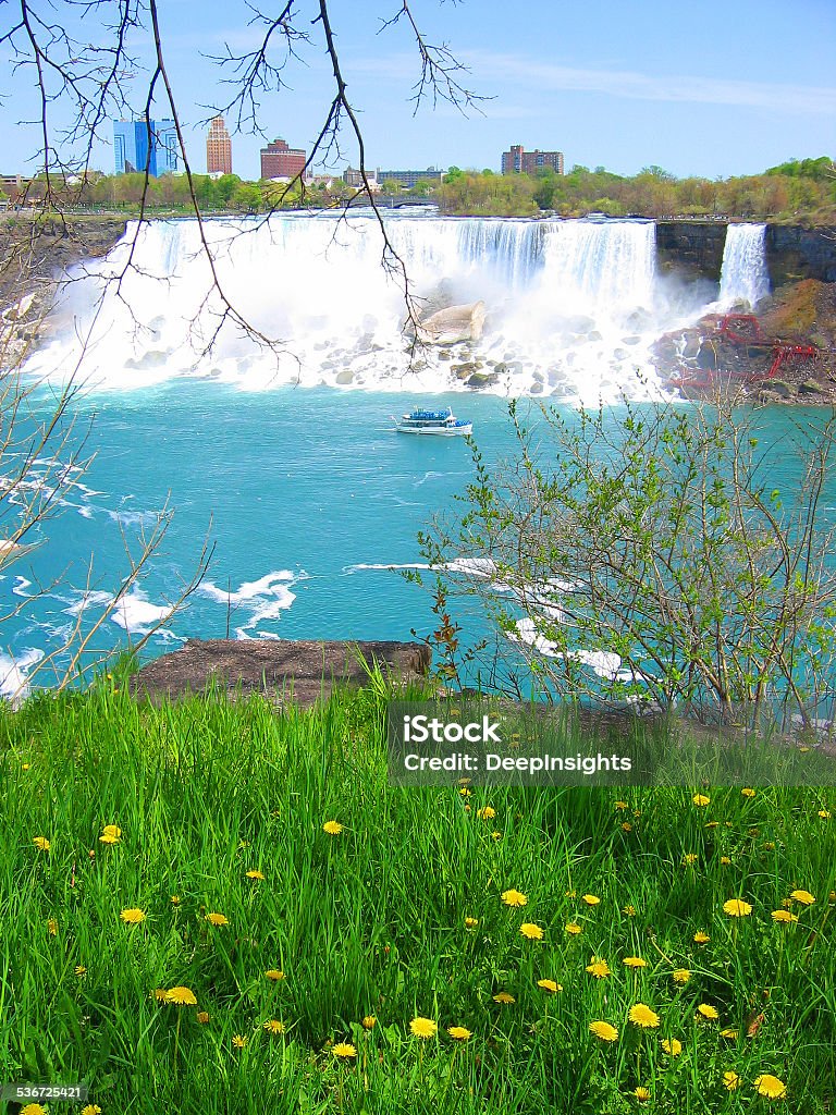 Niagara Falls Niagara Falls, American Falls, on a bright sunny day with Maid of the Mist, green grass and yellow flowers in foreground. 2015 Stock Photo