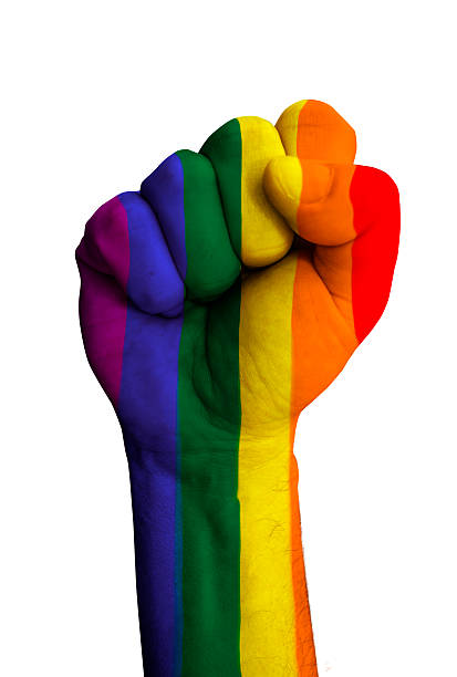 istock Fist with Gay flag 536732988
