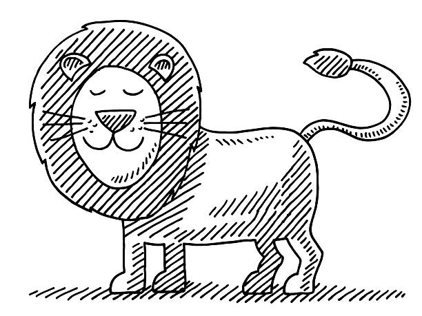 милый лев животных рисунок - lion mane strength male animal stock illustrations