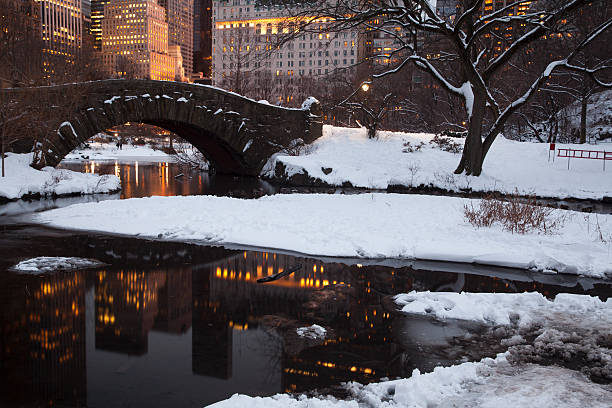 istock Central park in New York City 536746977