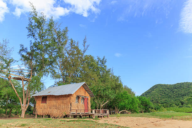 istock little hut in the jungle 536747216