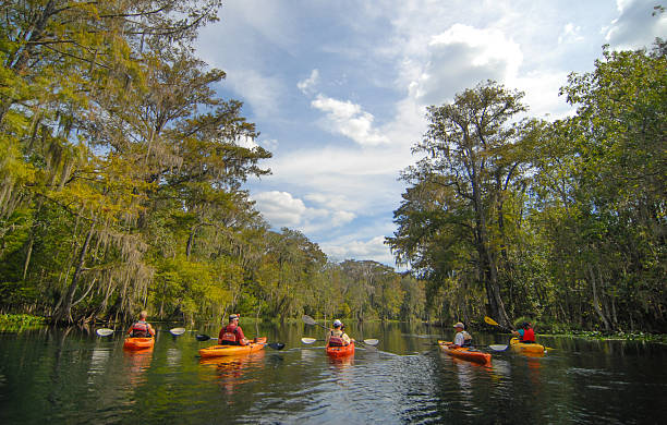 istock Group of Kayakers on the Silver River 536747411
