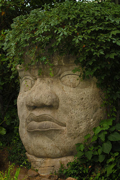 Gigantic Mesoamerican Stone Head Sculpture With Green Plant Hair Sculpted Central American Human Head that now has plants for hair. olmec head stock pictures, royalty-free photos & images