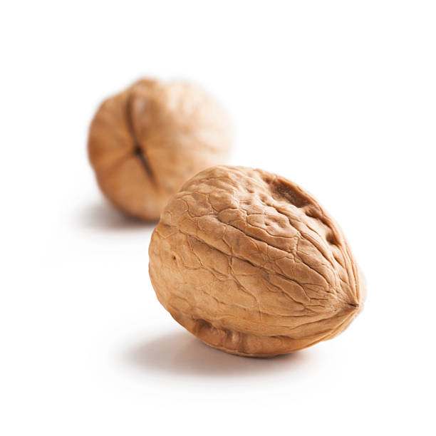 tuercas: grupo de nogal - walnut pod nutshell cross section fotografías e imágenes de stock
