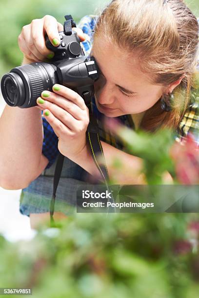 Focusing On Nature Photography Stock Photo - Download Image Now - 20-29 Years, 2015, Adult