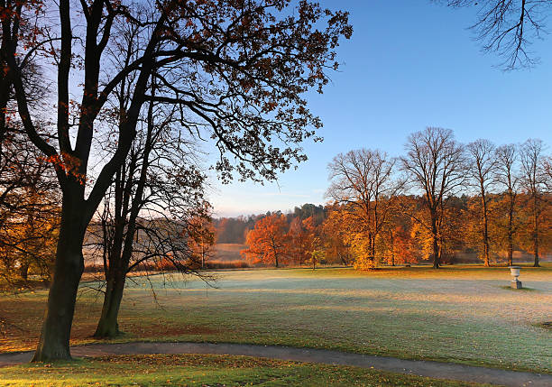 Beautiful landscape oil painting showing city park on a misty autumn day.