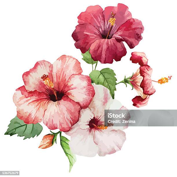 Hibiscus2 Stock Illustration - Download Image Now - Abstract, Blue, Botany