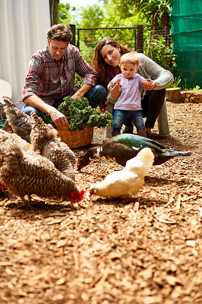 istock She loves it on the farm 536769738