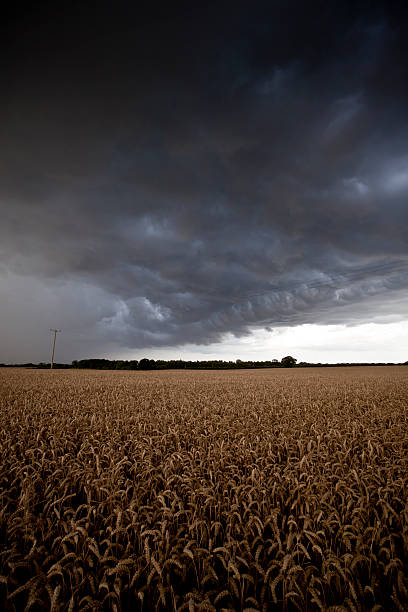 Escuro céu foreboding - foto de acervo