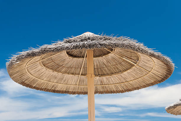 istock Umbrellas on the beach 536774153