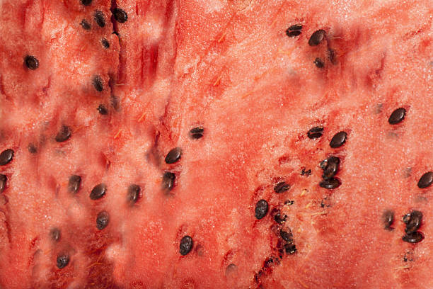 istock background with of fresh ripe red watermelon 536774869