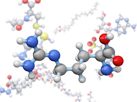 A model of a molecule of arginine, an amino acid. Amino acids are the building blocks of proteins and have many functions in metabolism. In particular, Arginine has an important function in the immune system, wound healing and cell division.