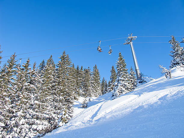 istock Winter in the alps 536776725