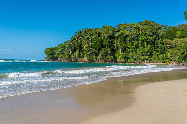 istock Punta Uva beach in Costa Rica, caribbean coast 536777760
