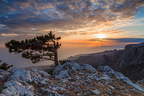 istock Sunset landscape on a high mountain 536778223