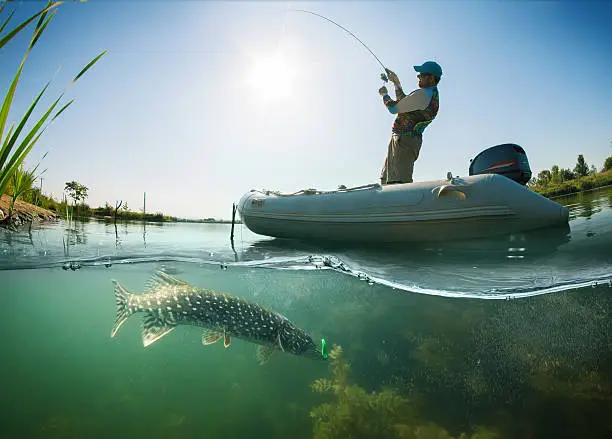 Fishing. Underwater view