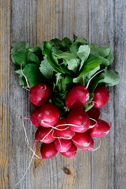 istock bunch of fresh radish on a wood 536809256