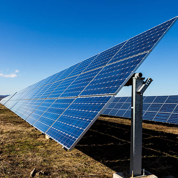 istock Photovoltaic solar panels on the field 536809607