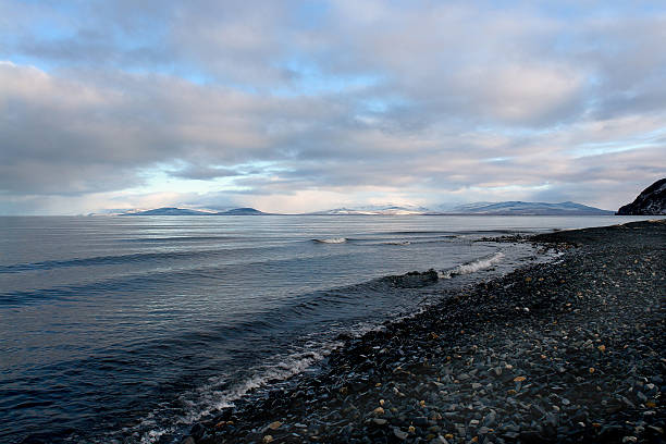 istock Arctic coast of Chukotka  in summer. 536812061