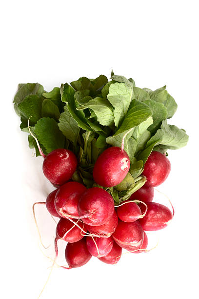 istock bunch of fresh radish on a neutral background 536812130
