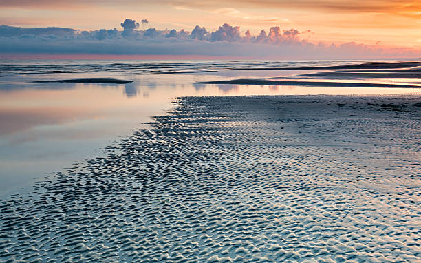 istock Morning in the Baltic beach, Latvia 536812732