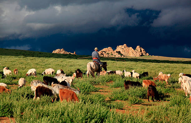 Nomad man on his horse heading back to his camp with his goat and cheep herd. The rocks behind are part of Hogno-Tarna Uul, in Bulgan province, at an elevation standing high above the surrounding area with small summit area, steep slopes and local relief of 300m or more in the country of Mongolia.