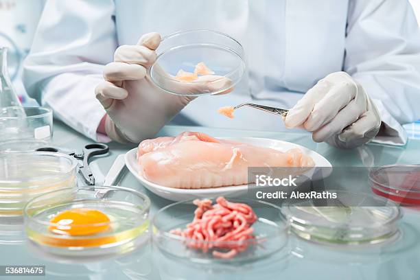 Food Safety Concept Stock Photo - Download Image Now - 2015, Adult, Agriculture