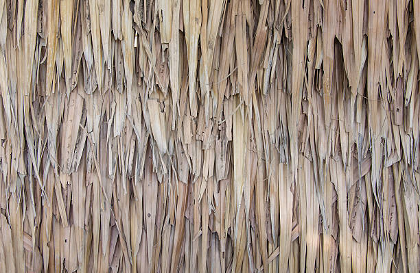 istock Thatch roof background, hay or dry grass background 536816807