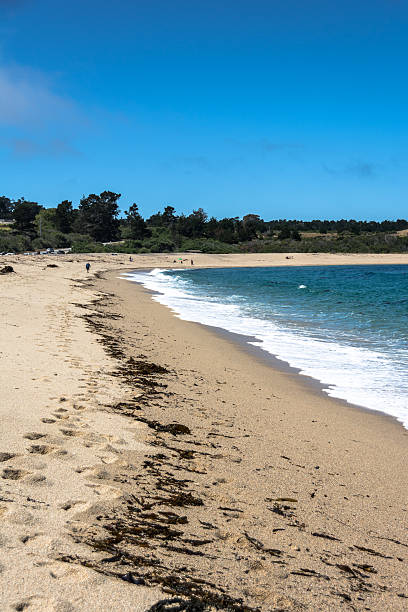 istock Sand beach along Carmel, California 536819992