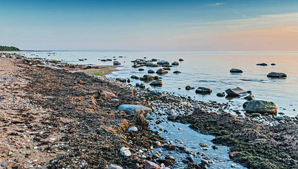 istock Winter view on stone beach of Riga's Gulf,Latvia 536827150