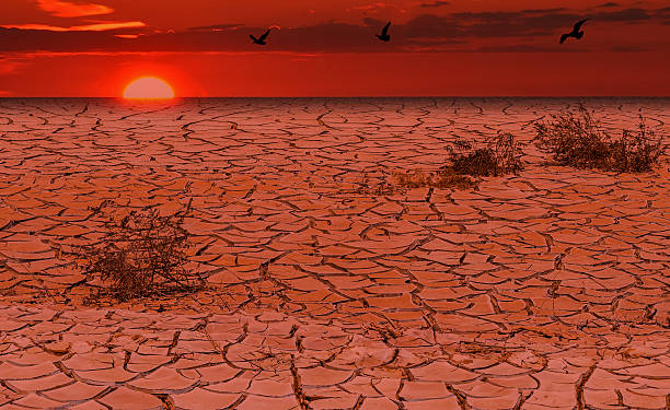 istock Global warming is a real threat for our civilization 536829262