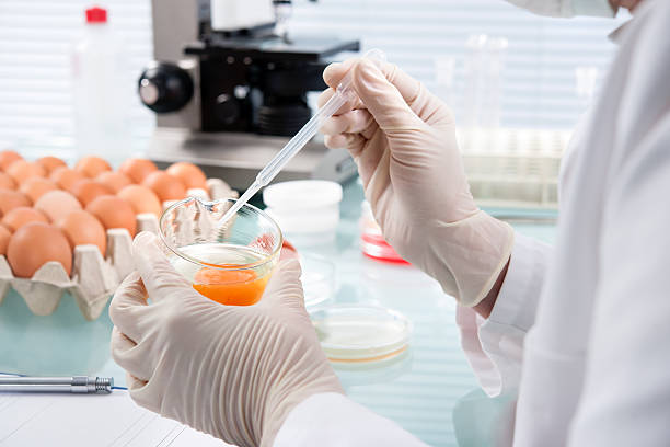 istock Food safety concept 536831813