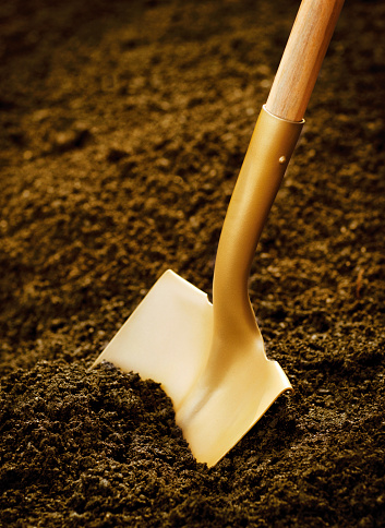 Gold shovel in dirt.