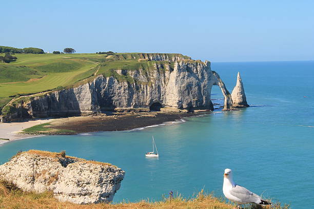 istock Cliffs of Etretat, France 536833460