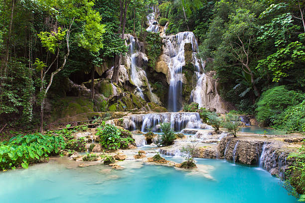 куанг си водопады, луанг phrabang, лаос. - tropical rainforest tropical climate waterfall landscape стоковые фото и изображения