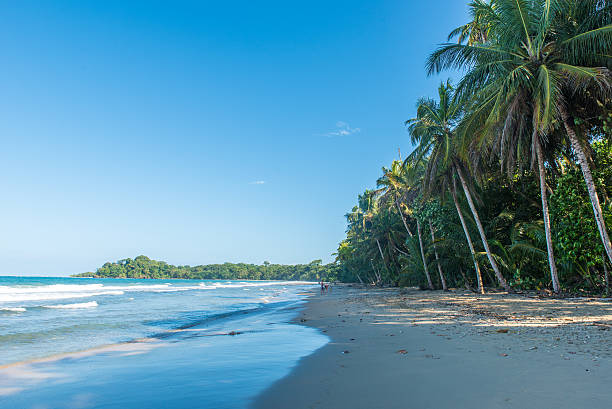 istock Punta Uva beach in Costa Rica, caribbean coast 536843678