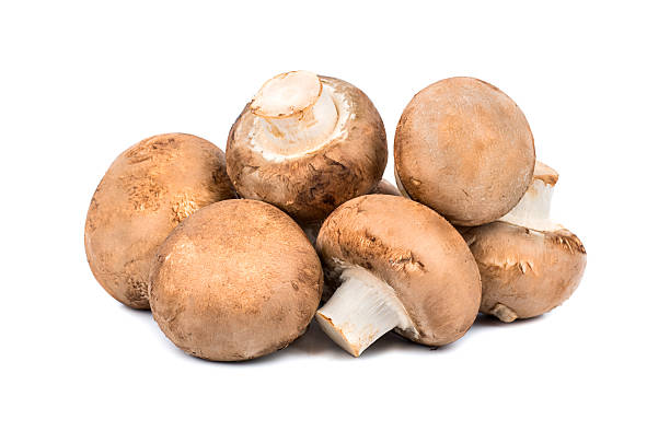istock Mushrooms royal mushroom 536845084