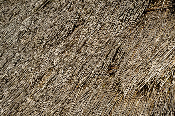 istock Pattern with the old thatched roof of traditional style Atlantic 536845280